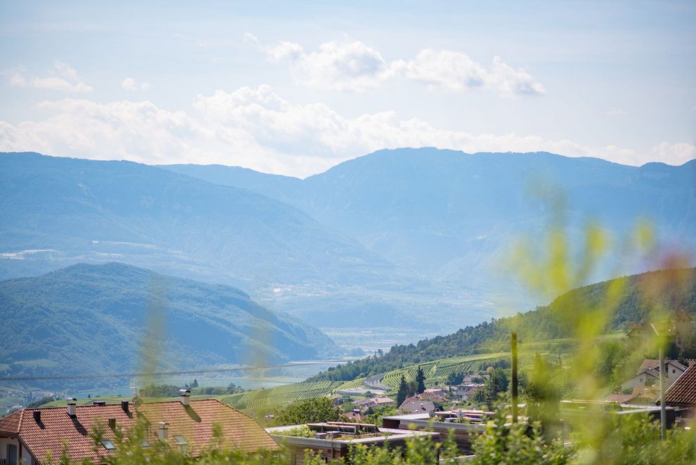 Blick über Häuser und Weinberge in ein grünes Tal mit bewaldeten Bergen unter einem wolkigen Himmel.