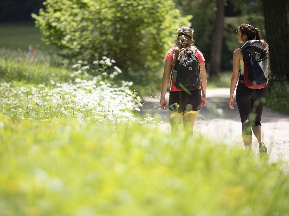 Zwei Frauen mit Rucksäcken gehen auf einem sonnigen Waldweg, gesäumt von grünen Wiesen und Blumen.