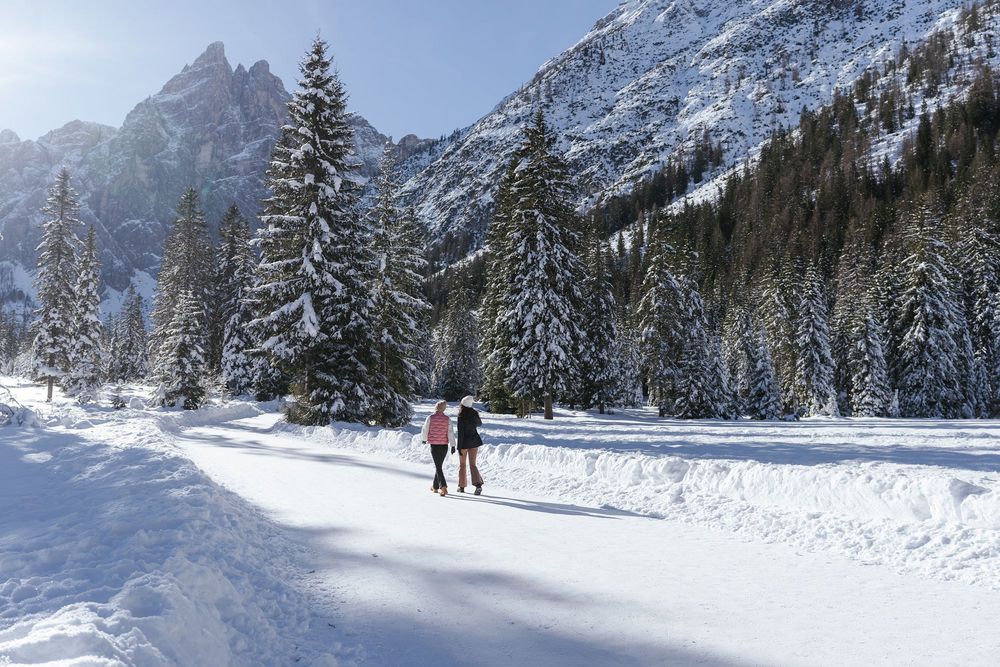 Zwei Spaziergängerinnen gehen auf einem verschneiten Weg durch einen Tannenwald vor einer schroffen Bergkulisse.