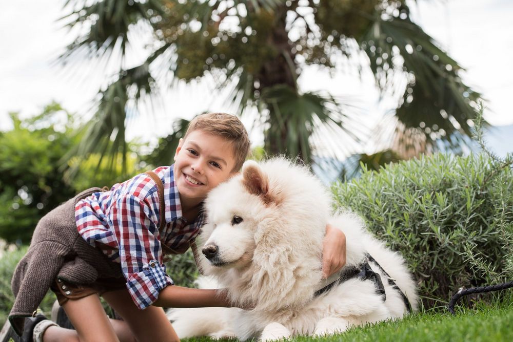 Ein lächelnder Junge umarmt einen großen, flauschigen weißen Hund im Garten.