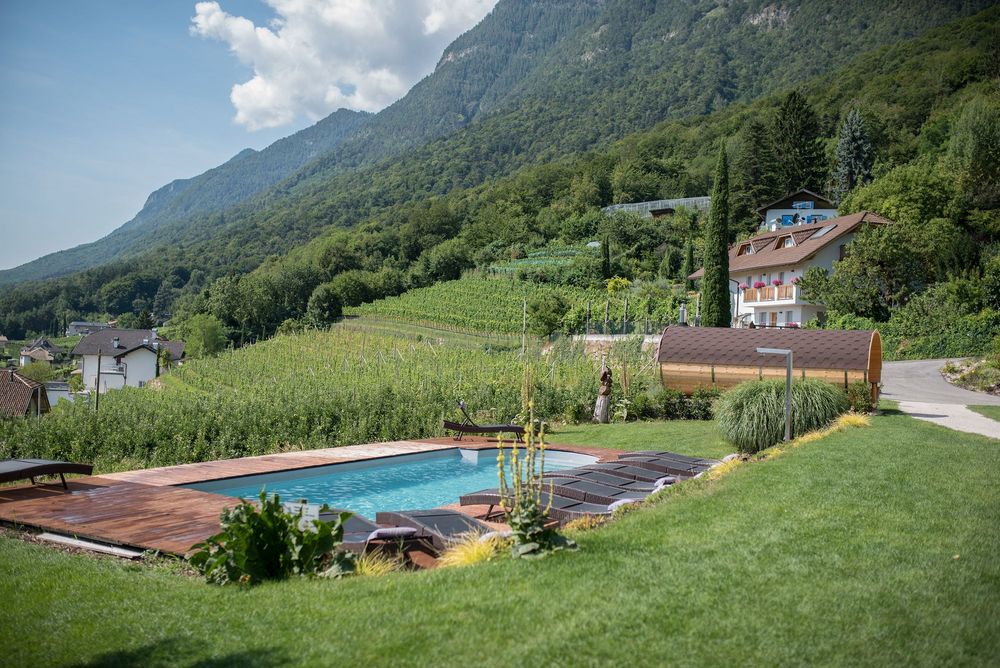 Ein Swimmingpool mit Holzterrasse und Liegen liegt vor Weinreben, Häusern und einem bewaldeten Berghang.