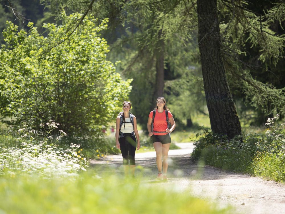 Zwei Frauen mit Rucksäcken gehen auf einem sonnigen Waldweg zwischen Bäumen und Wildblumen.
