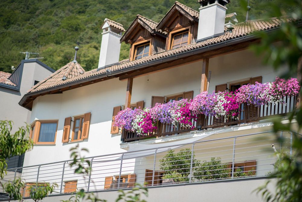 Weißes Haus mit braunen Fensterläden, Ziegeldach und einem Balkon voller pinker, violetter und weißer Blumen vor einem grünen Berghang.